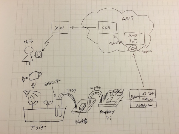 IMG_0791.JPG IMG_0791.JPG