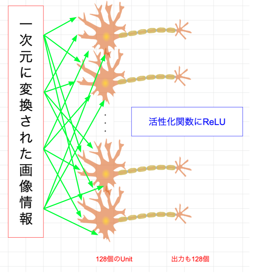 multilayer_perceptron.png