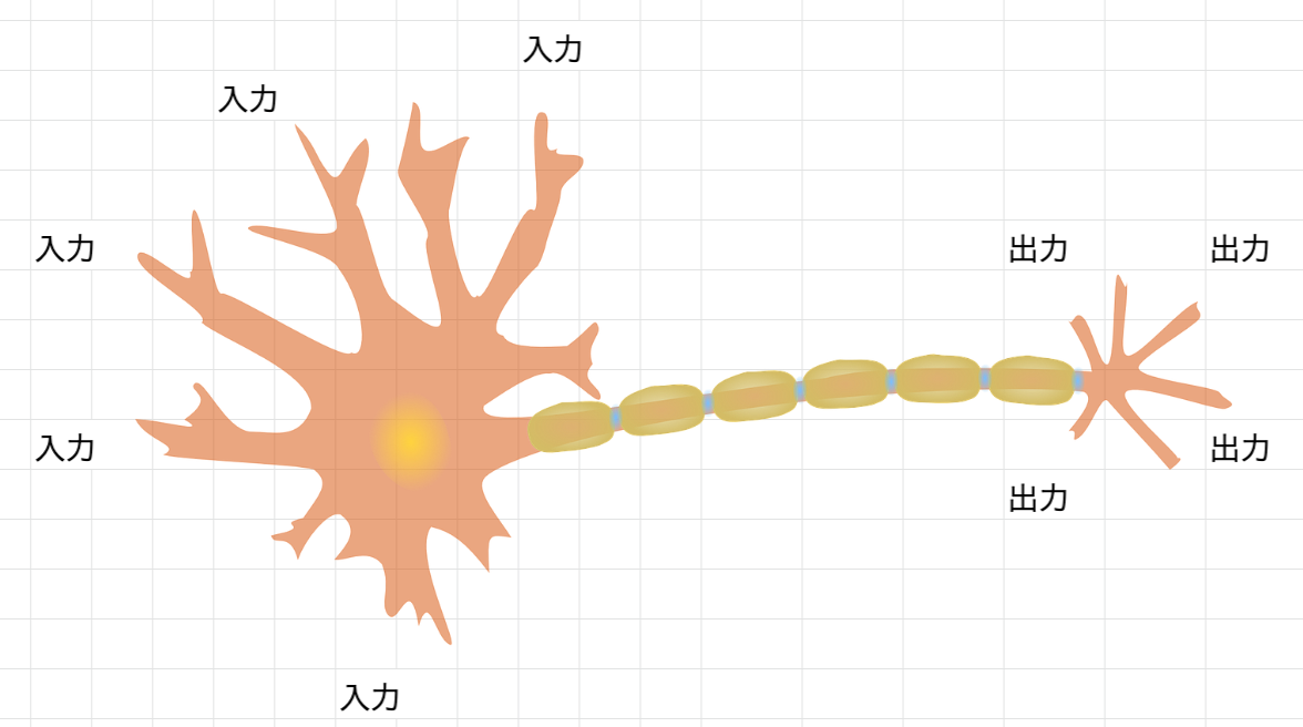 image_neuron.png