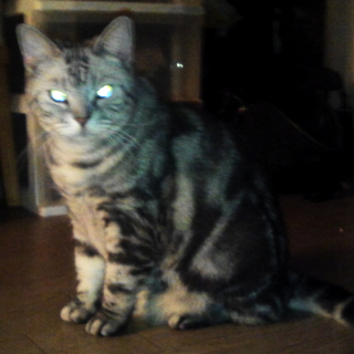 Postgresql mass update