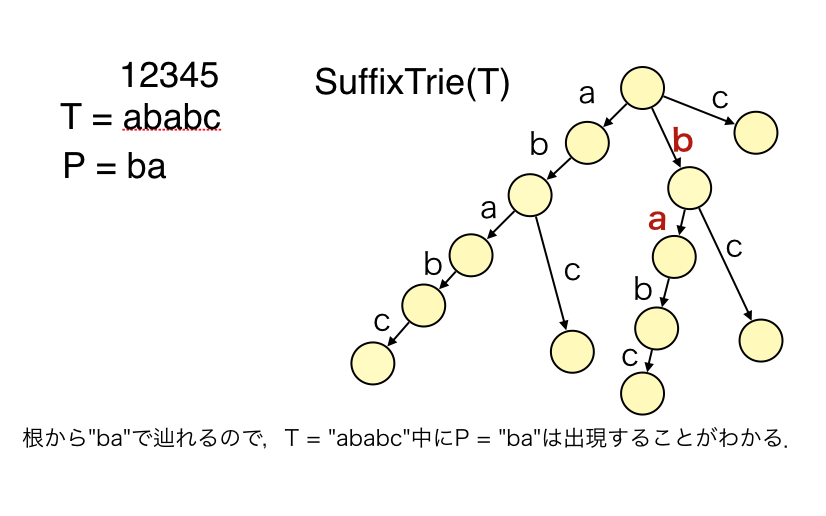 Compact Suffix Tree Compact Directed Acyclic Word Graphを定義する #データ構造 - Qiita