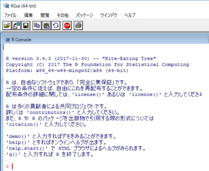R_Start_01_Rgui.jpg