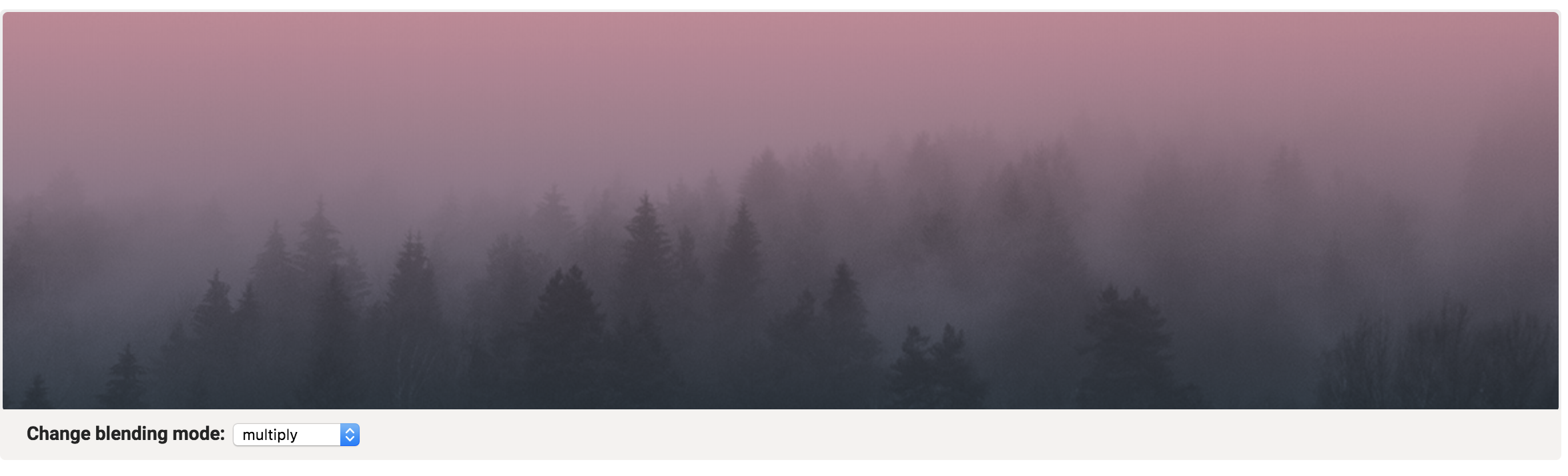 Screenshot_2019-02-28 20.55.56_RaImf3.png