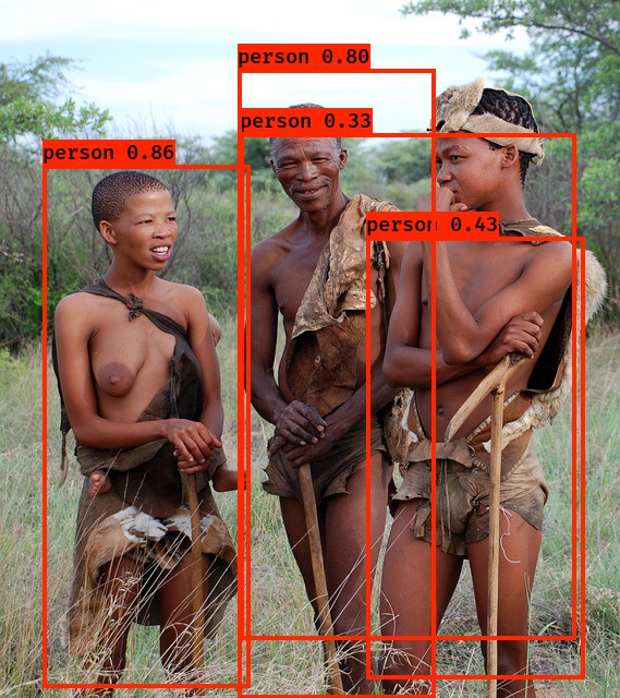 bushman-509238_640.jpg