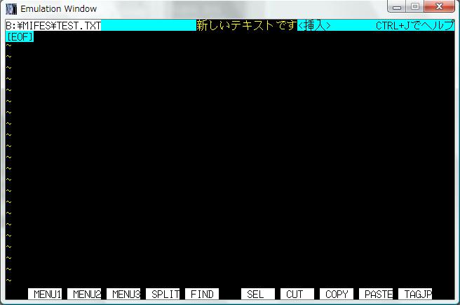 mifes.jpg