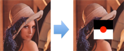image