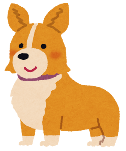 dog_corgi.png