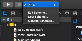 やっぱり、わけわからない。Xcode、実機でプレビューしたいのになぜか「iPhone has denied the launch ...