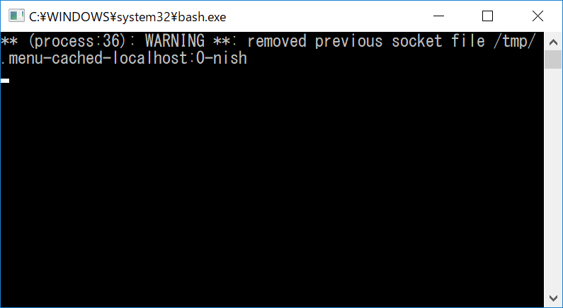 bash-window.png