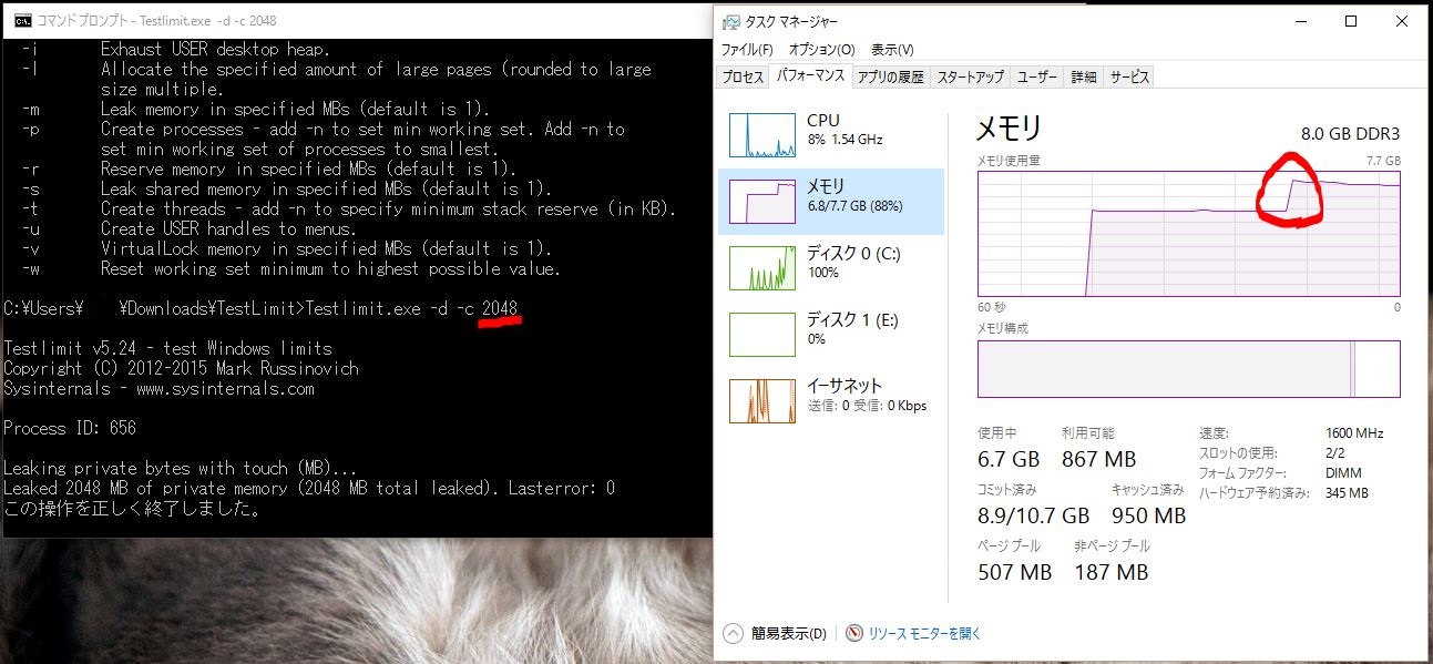 キャプチャ.JPG