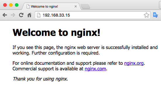 nginx_snapshot.png