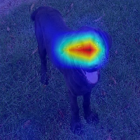 Unknown.jpg