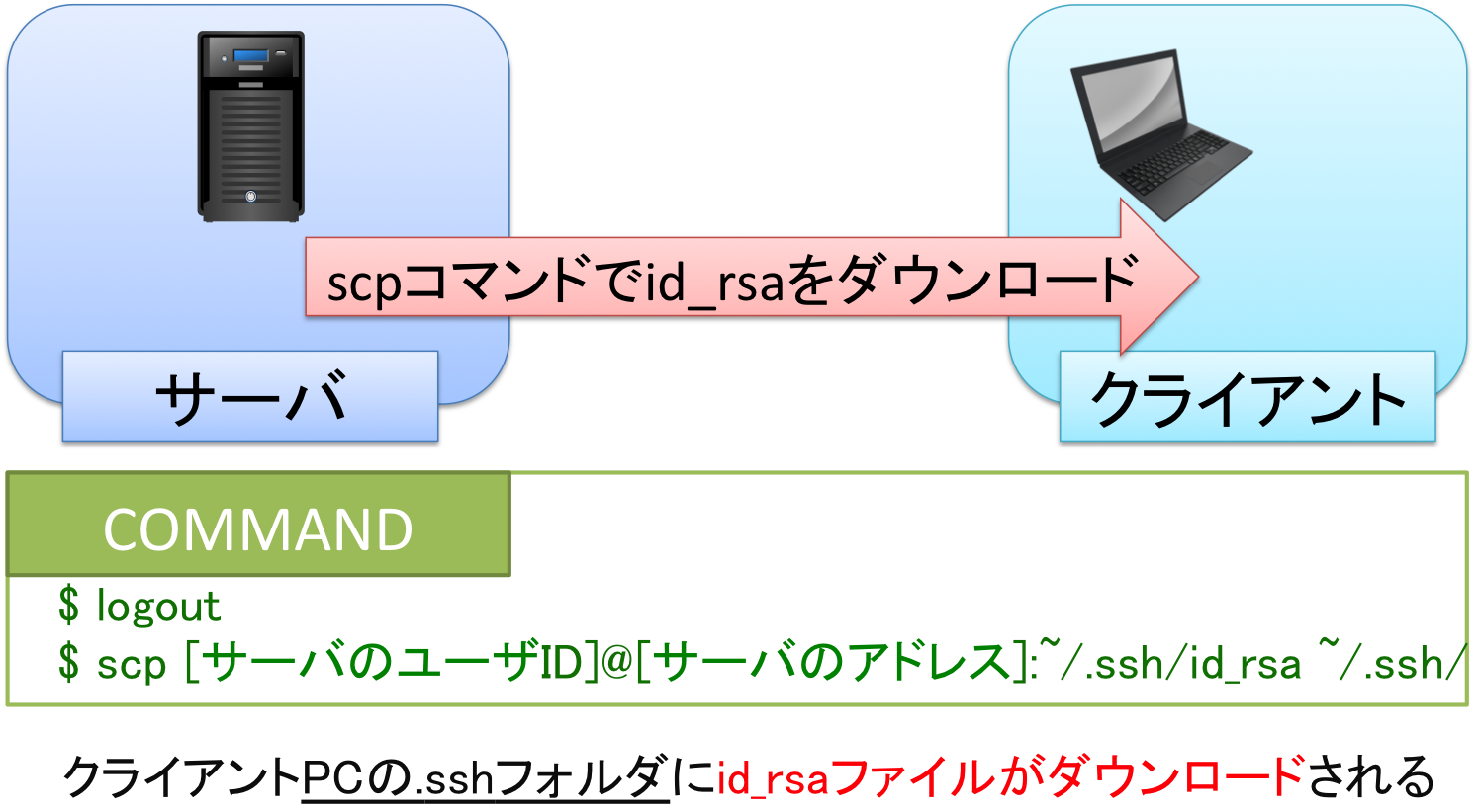 02.png