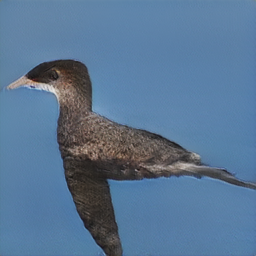 Black_Footed_Albatross_0007_796138_256_sentence6.png