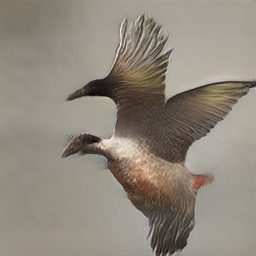 Black_Footed_Albatross_0005_796090_256_sentence6.png