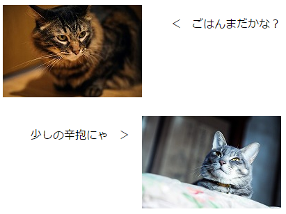 写真と文章.PNG