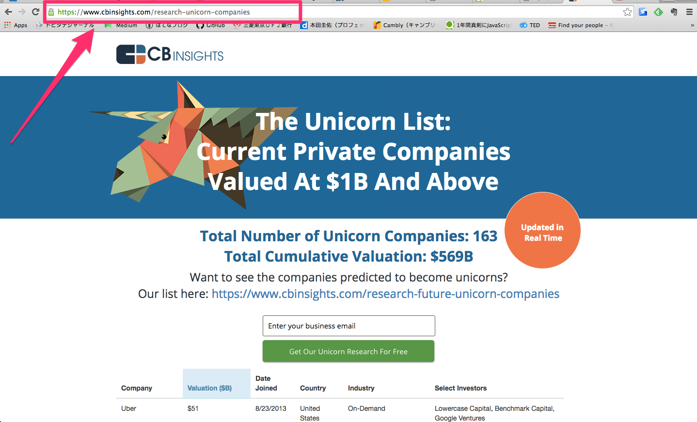 unicorn-webpage3.png