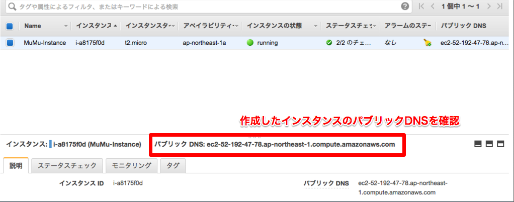 publicDNS.png